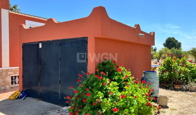 Reventa - Country House - San Miguel de Salinas - Inland