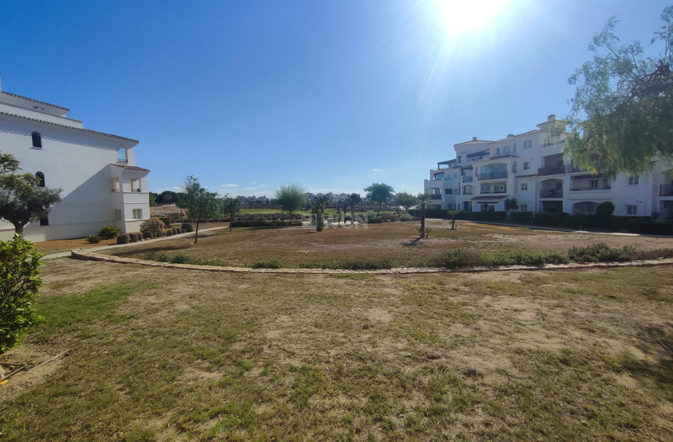 Resale - Apartment / flat - Hacienda Riquelme Golf Resort - Inland