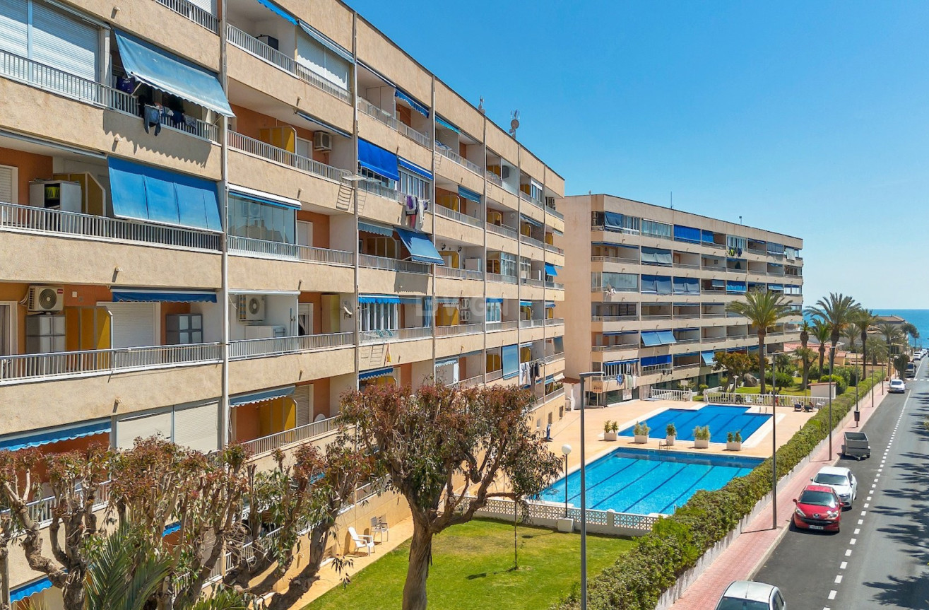 Resale - Apartment / flat - Torrevieja - Costa Blanca