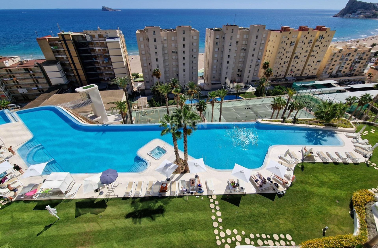 Reventa - Apartamento / piso - Benidorm - Poniente