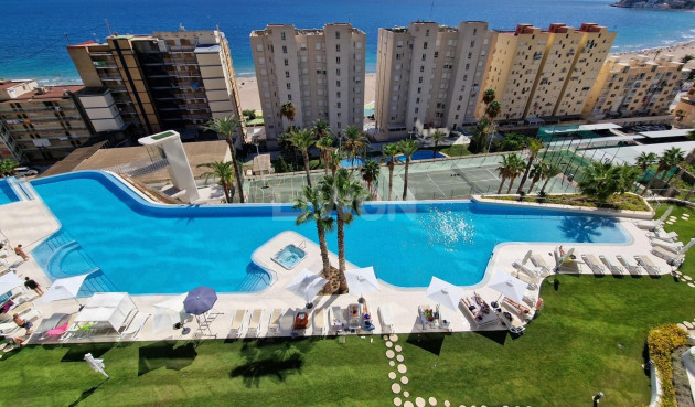 Reventa - Apartamento / piso - Benidorm - Poniente