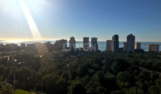 Odsprzedaż - Mieszkanie w bloku - Benidorm - Costa Blanca