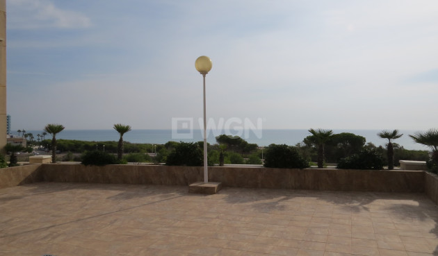 Resale - Apartment / flat - Guardamar del Segura - Costa Blanca