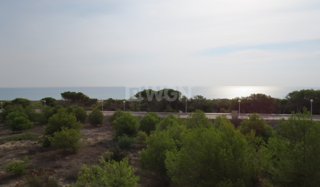 Odsprzedaż - Mieszkanie w bloku - Guardamar del Segura - Costa Blanca