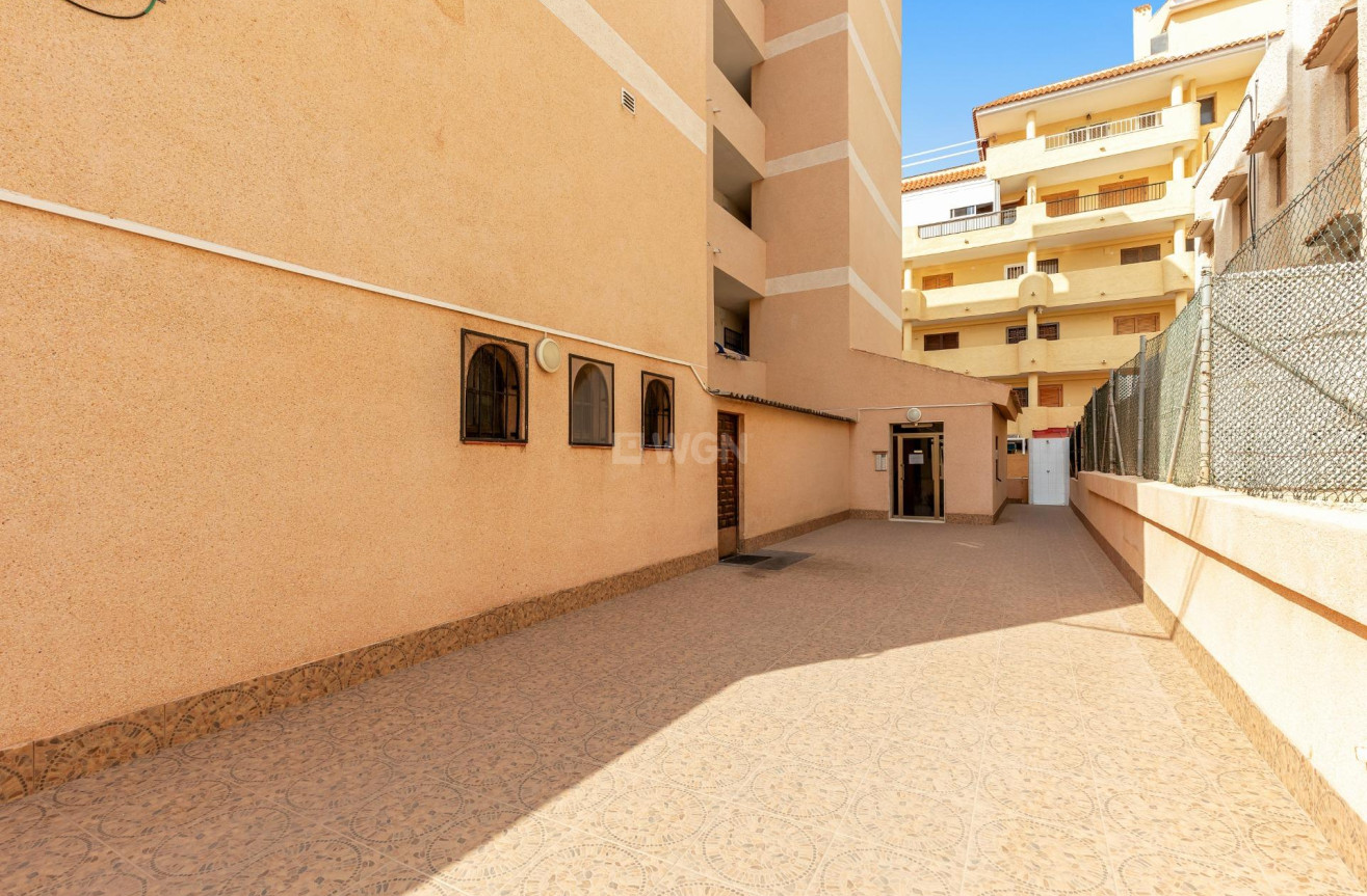 Reventa - Apartamento / piso - Torrevieja - La Mata