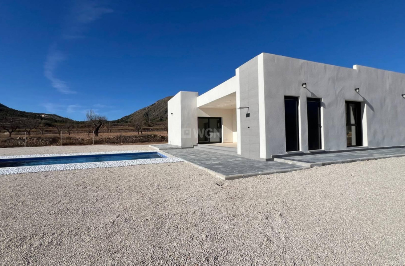 Obra nueva - Villa - Jumilla - Torre del Rico