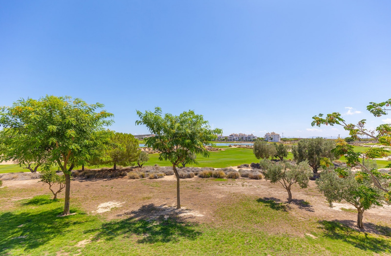 Resale - Apartment / flat - Hacienda Riquelme Golf Resort - Inland