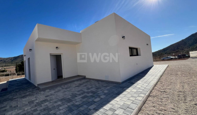 Nowy budynek - Villa - Jumilla - Torre del Rico