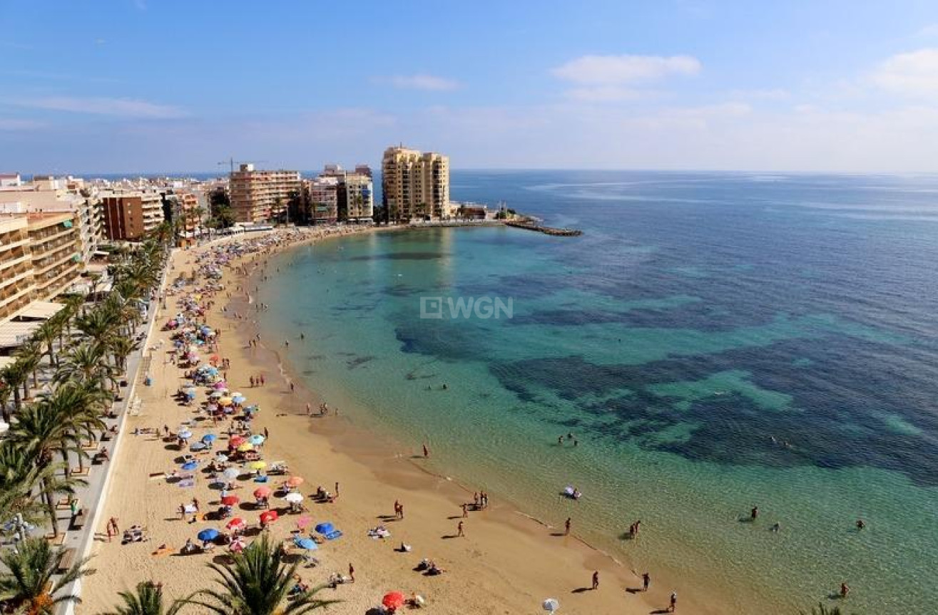 Resale - Apartment / flat - Torrevieja - Playa del Cura