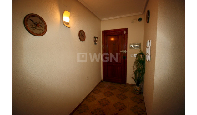 Resale - Apartment / flat - Guardamar del Segura - Costa Blanca