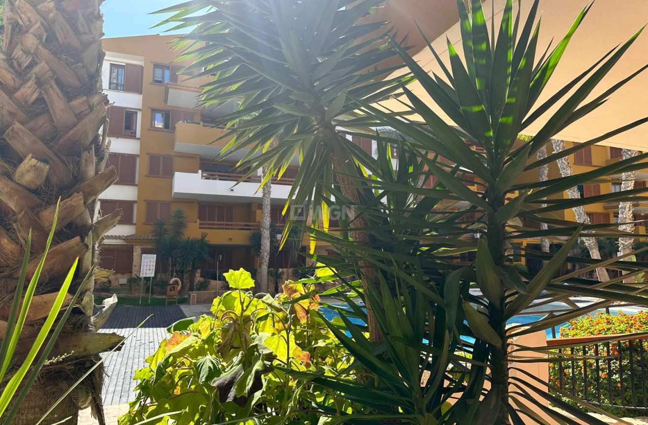 Resale - Apartment / flat - Torrevieja - Costa Blanca