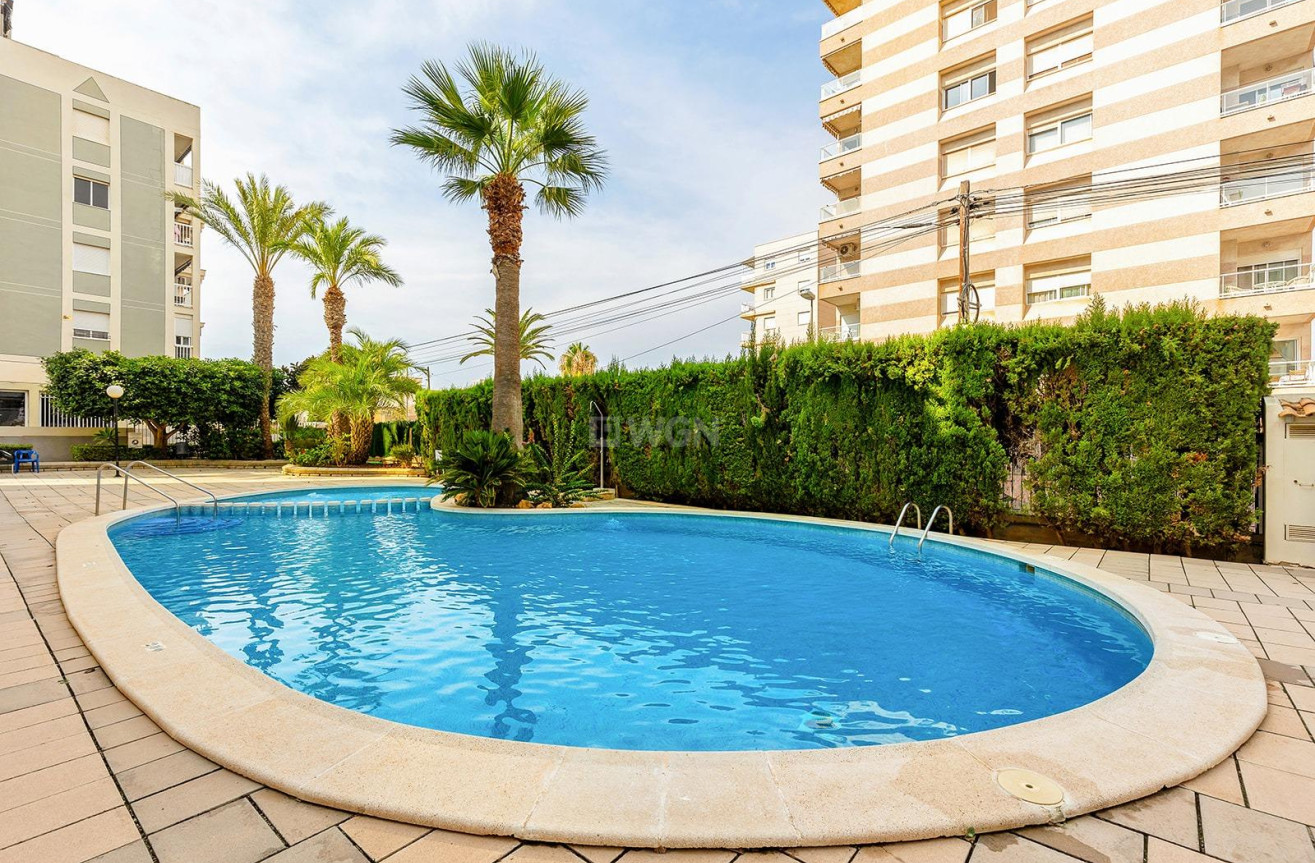 Resale - Apartment / flat - Torrevieja - Nueva Torrevieja