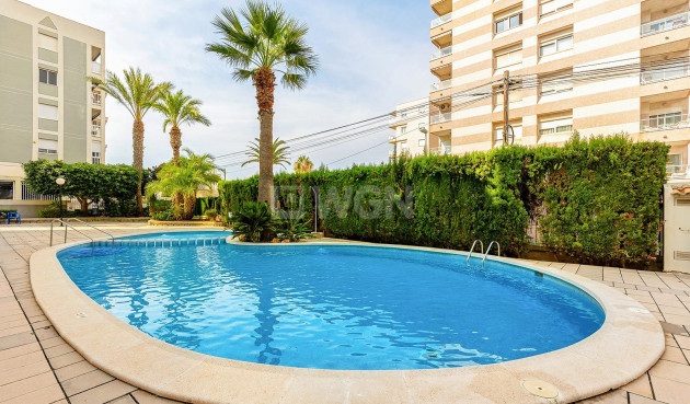 Reventa - Apartamento / piso - Torrevieja - Nueva Torrevieja