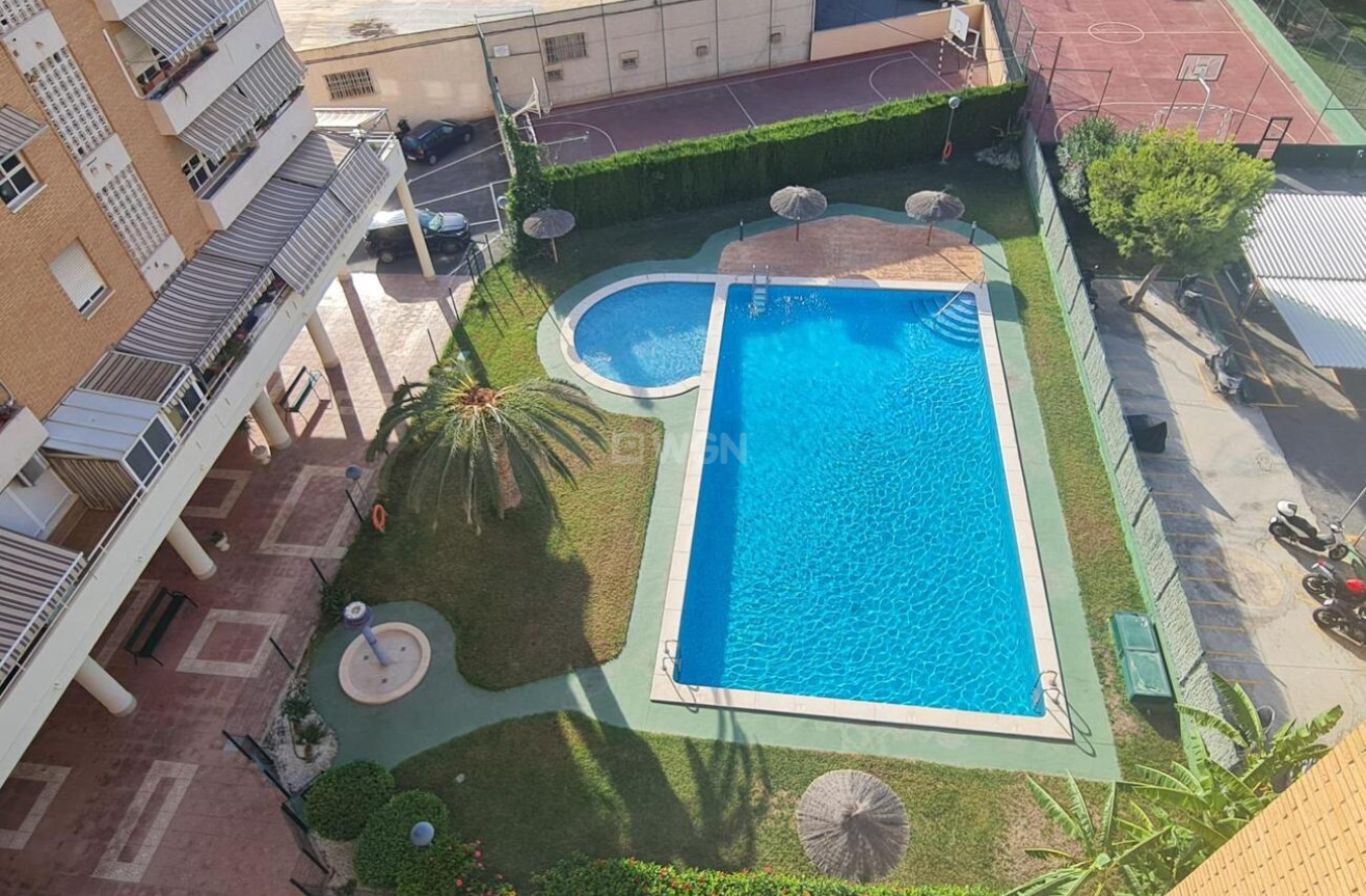 Resale - Apartment / flat - Alicante - Babel