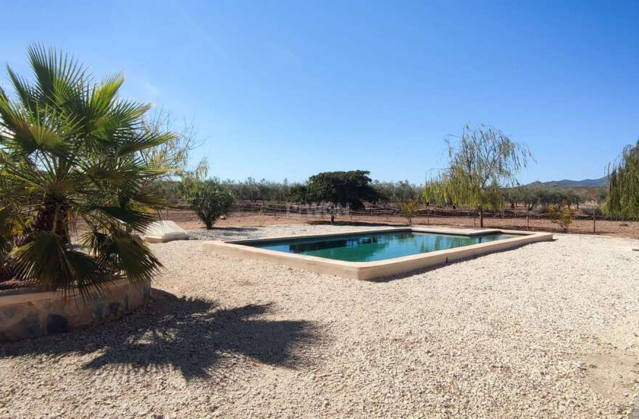 Resale - Villa - Pinoso - Inland