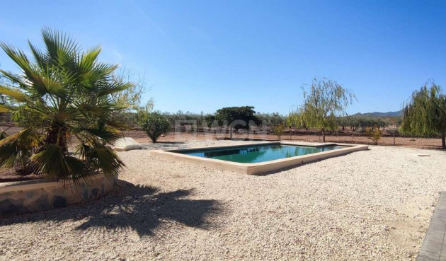 Resale - Villa - Pinoso - Inland