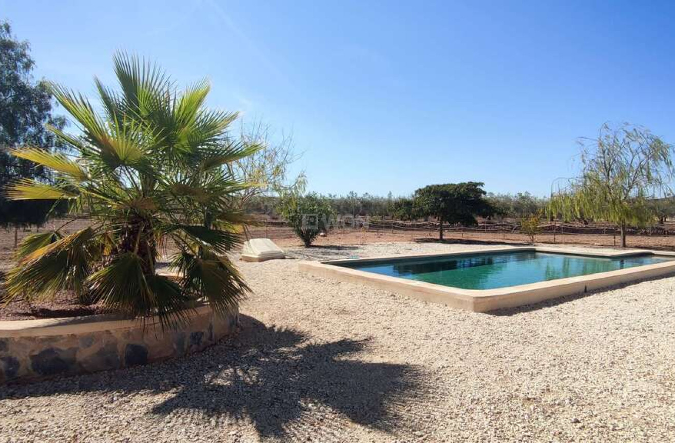 Resale - Villa - Pinoso - Inland