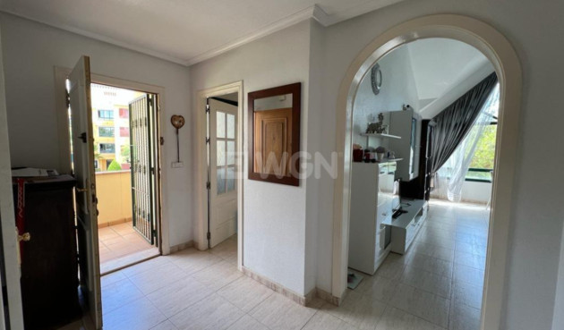 Reventa - Bungalow - Dehesa de Campoamor - Costa Blanca