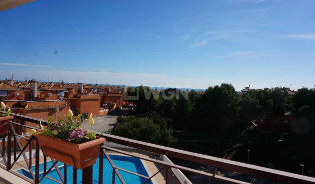 Resale - Penthouse - Orihuela Costa - Playa Flamenca