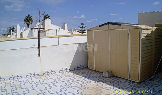 Odsprzedaż - Kamienica - Torrevieja - Torretas