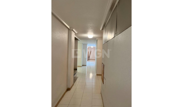 Resale - Apartment / flat - Torrevieja - Acequion