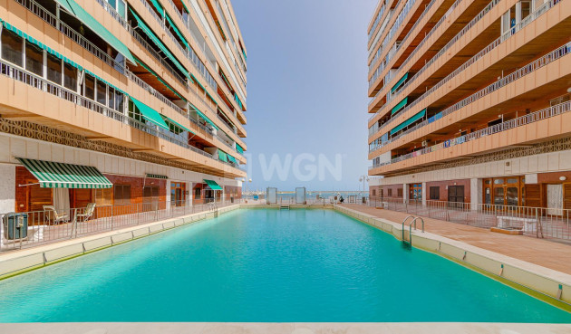 Resale - Apartment / flat - Torrevieja - Costa Blanca