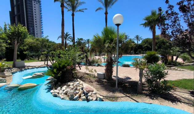 Resale - Apartment / flat - Benidorm - Costa Blanca