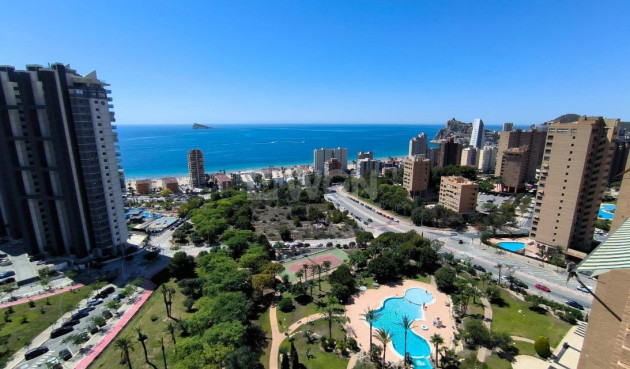 Reventa - Apartamento / piso - Benidorm - Costa Blanca