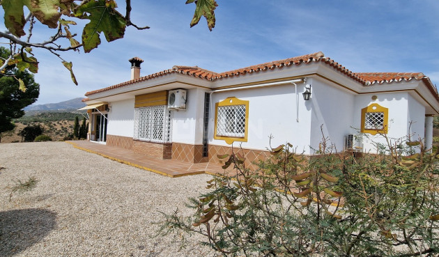 Reventa - Villa - Alcaucín - Inland