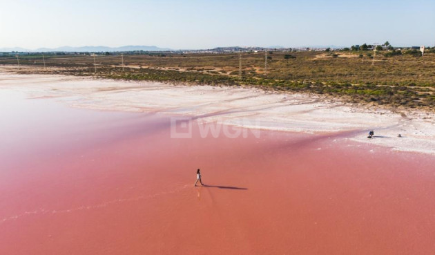 Nowy budynek - Mieszkanie w bloku - Torrevieja - Centro