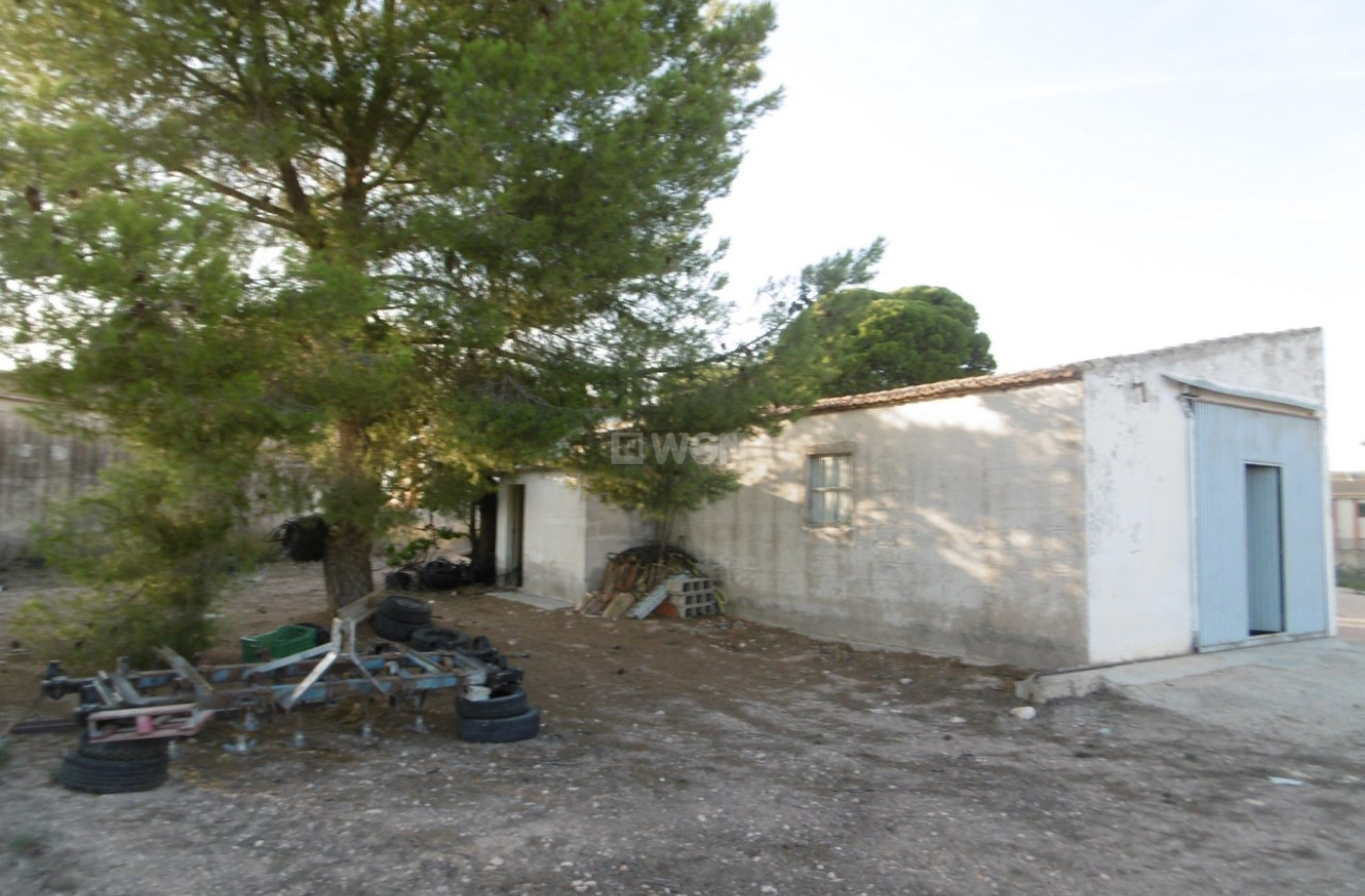 Reventa - Semi Detached - Yecla - Inland