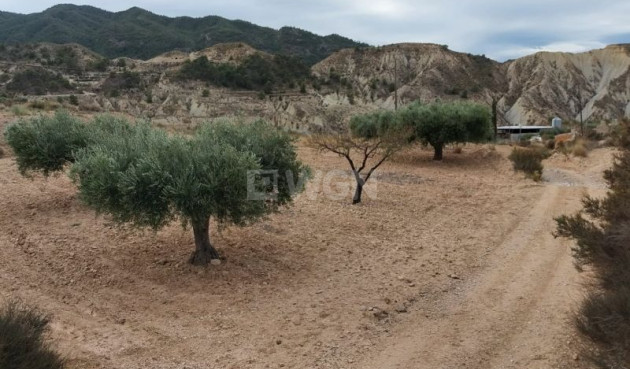 Reventa - Land - Abanilla - Inland