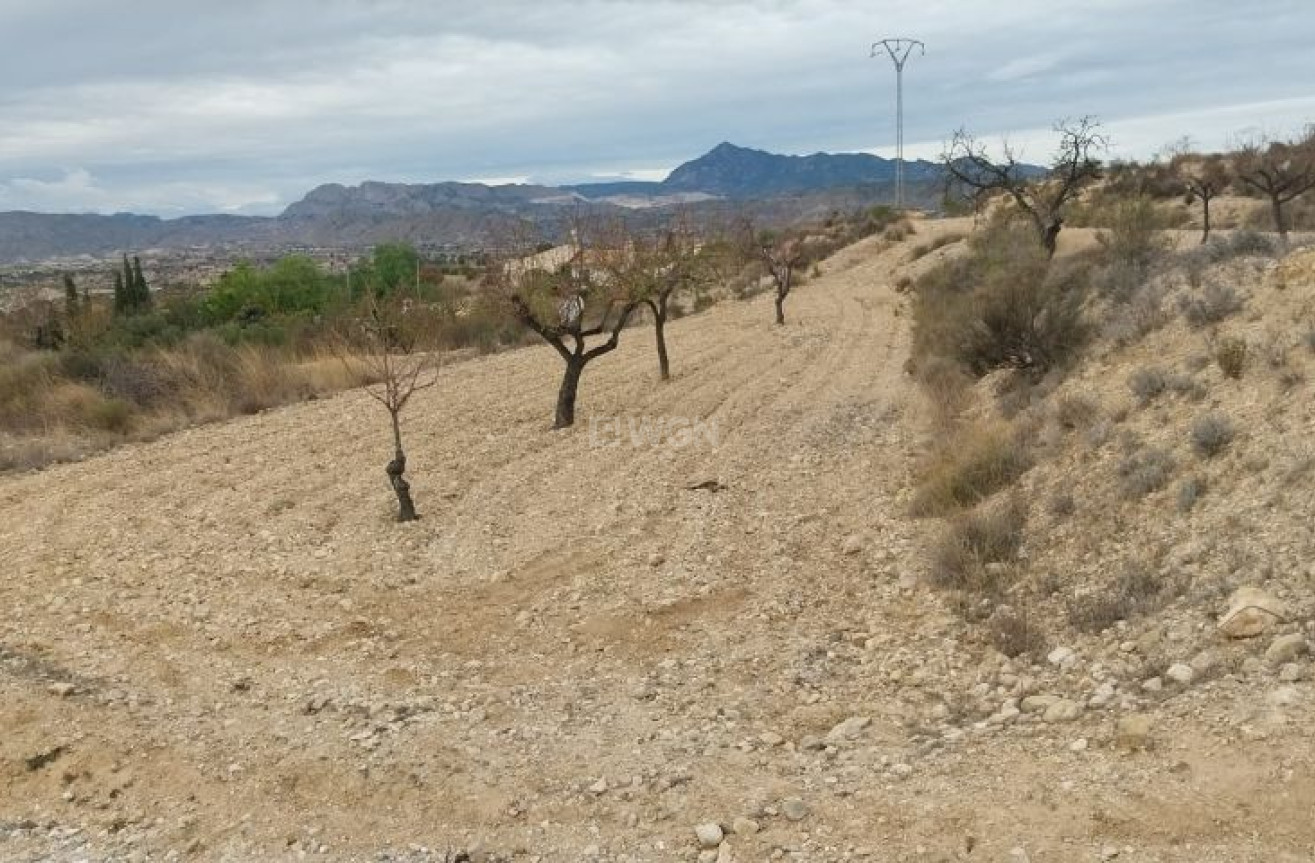 Reventa - Land - Abanilla - Inland