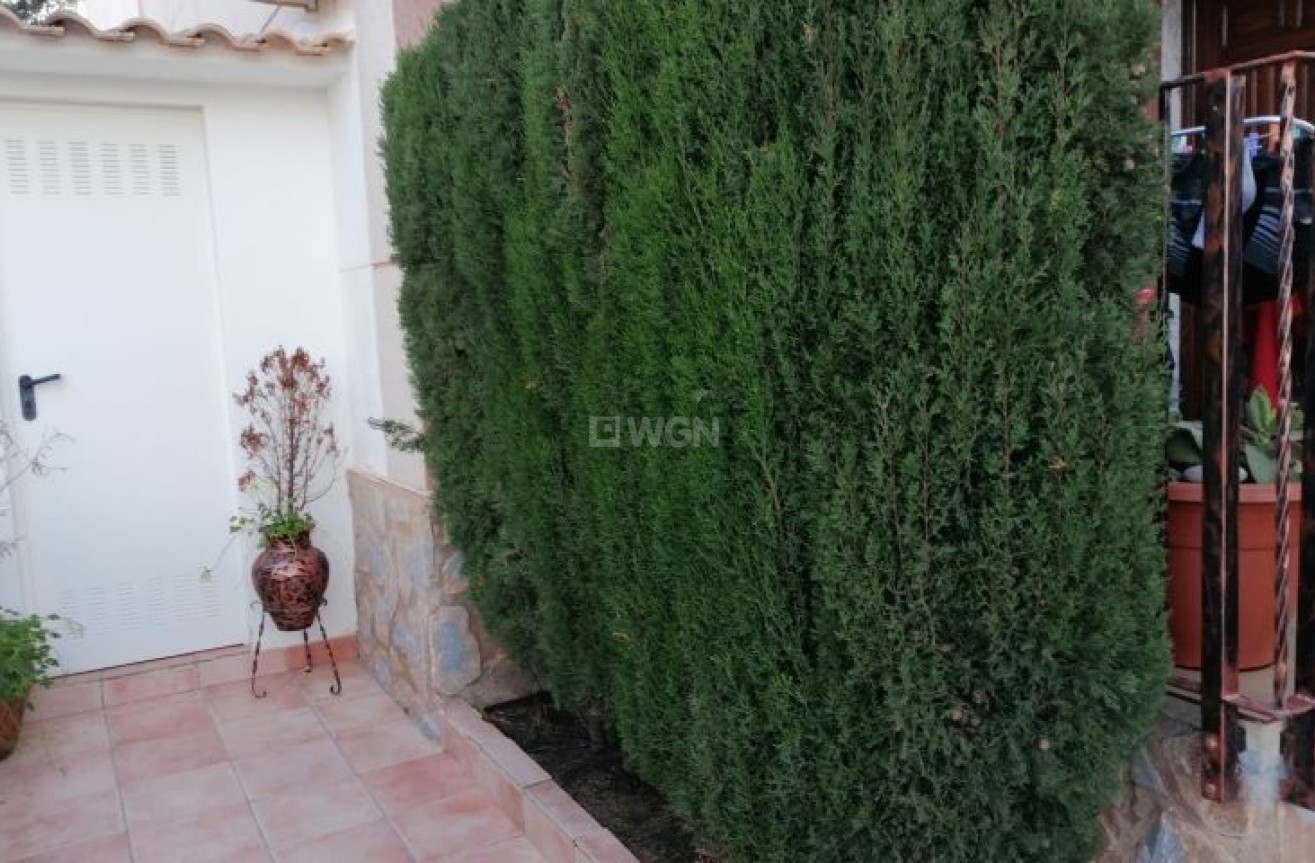 Resale - Duplex - Pilar de la Horadada - Costa Blanca