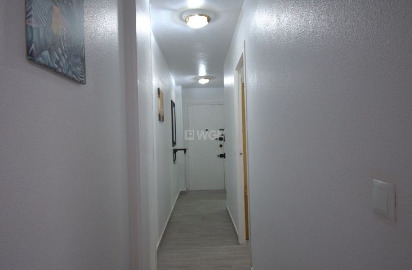 Reventa - Apartamento / piso - Torrevieja - Costa Blanca