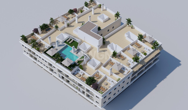 New Build - Penthouse - Algorfa - Pueblo