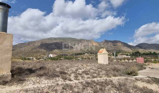 Odsprzedaż - Country House - Hondón de las Nieves - Inland