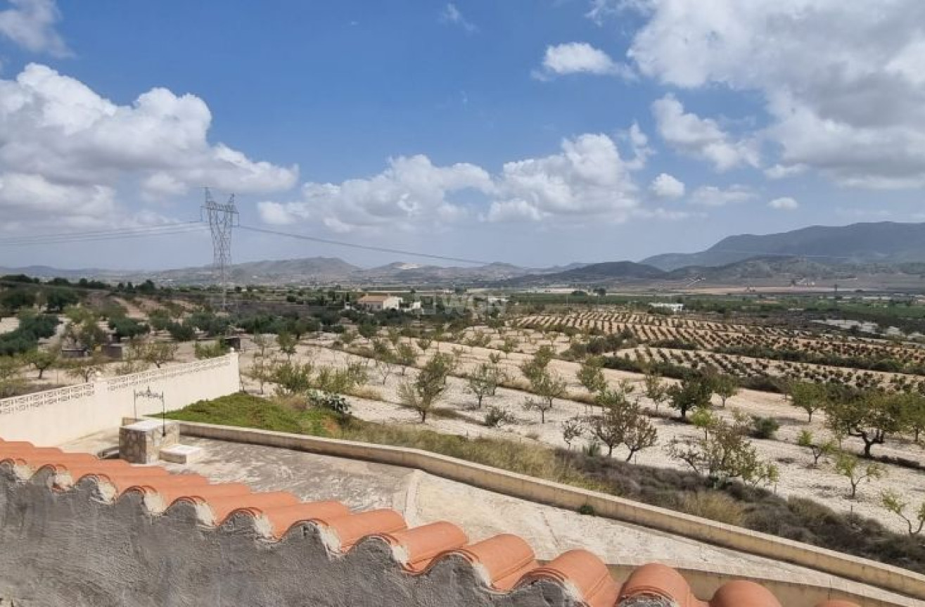 Odsprzedaż - Country House - Hondón de las Nieves - Inland