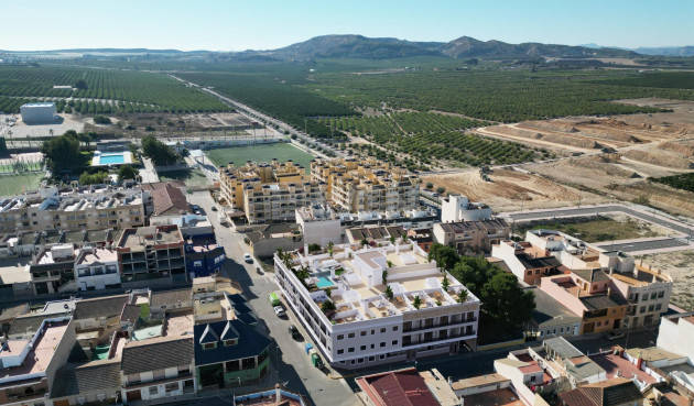 Obra nueva - Ático - Algorfa - Pueblo