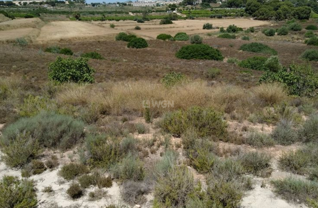 Reventa - Land - Pinar de Campoverde - Inland