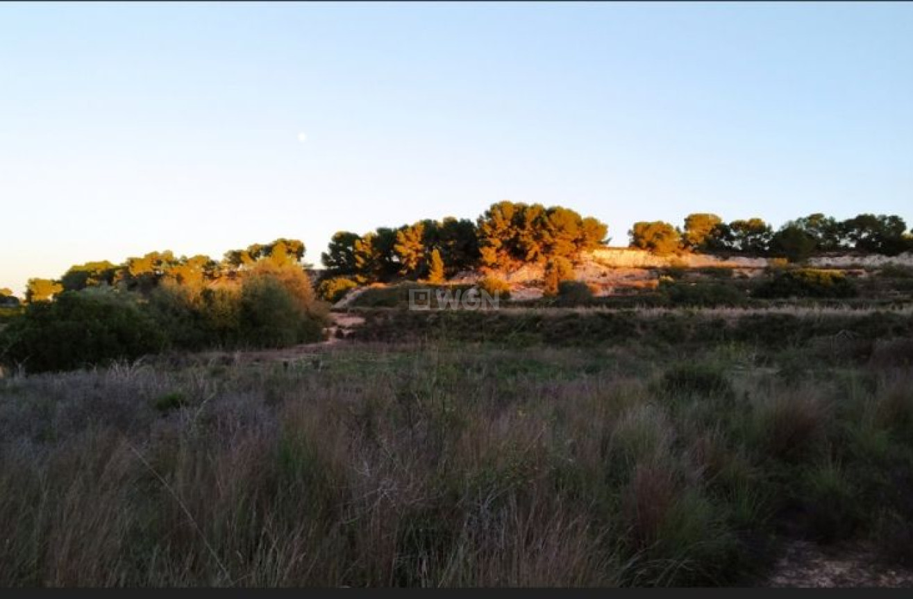 Resale - Land - Pinar de Campoverde - Inland