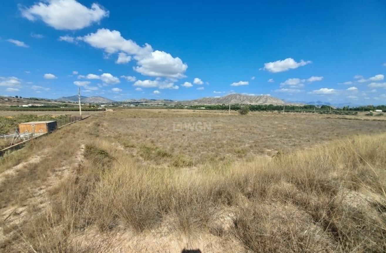 Reventa - Land - Hondón de las Nieves - Inland