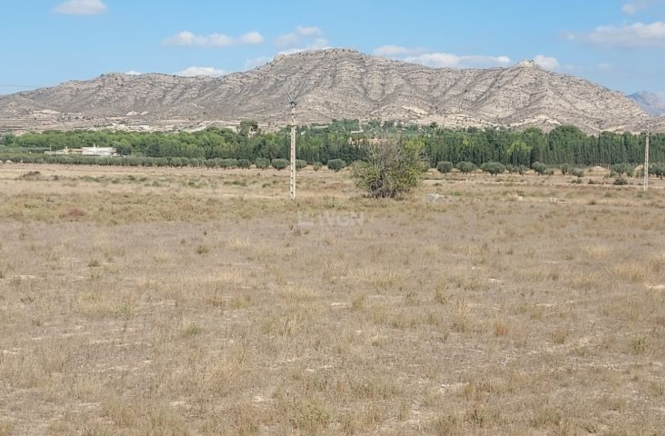 Reventa - Land - Hondón de las Nieves - Inland