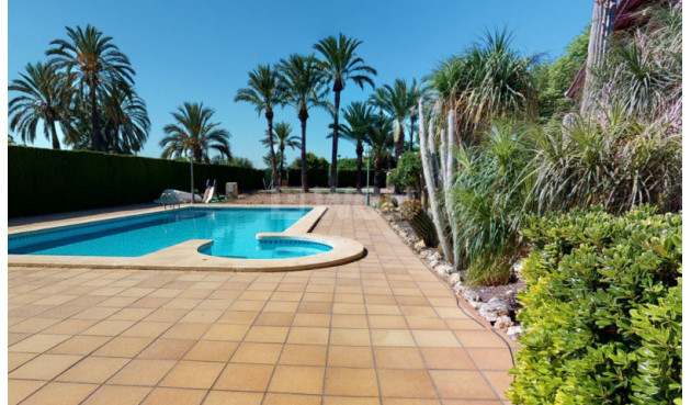 Resale - Villa - Elche - Costa Blanca