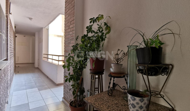 Resale - Apartment / flat - Torrevieja - Estacion De Autobuses