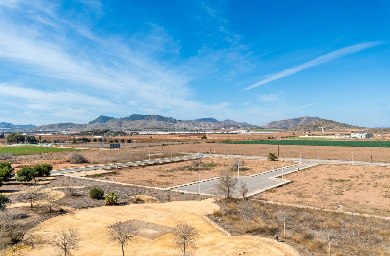 Obra nueva - Ático - Cartagena - Mar De Cristal