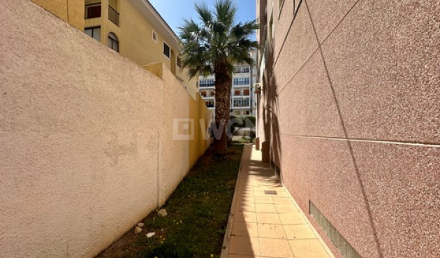 Reventa - Duplex - Torrevieja - Costa Blanca