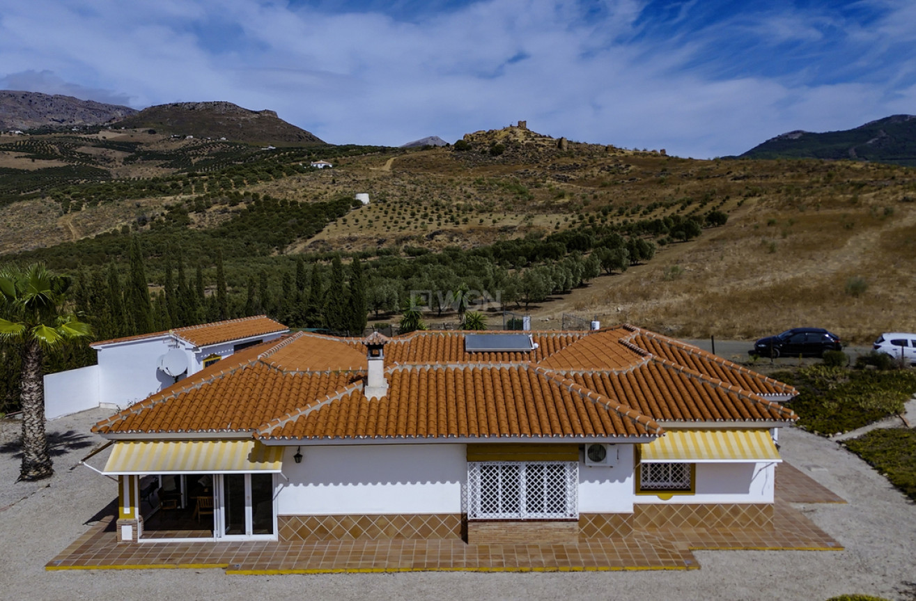 Reventa - Villa - Alcaucín - Inland