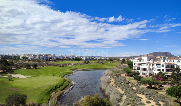 Odsprzedaż - Mieszkanie w bloku - Hacienda Riquelme Golf Resort - Inland