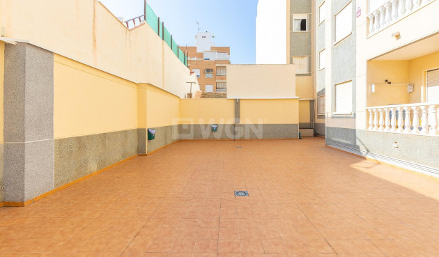 Reventa - Apartamento / piso - Torrevieja